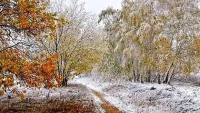 Zakon.kz, фото - Новости Zakon.kz от 25.11.2016 12:08