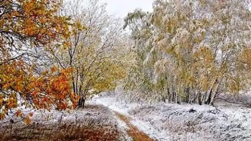 Погода без осадков ожидается в пятницу в Казахстане
