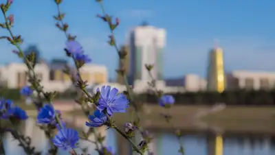 pixabay, фото - Новости Zakon.kz от 24.03.2019 15:11