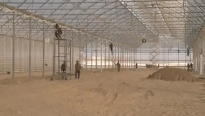 Zakon.kz, фото - Новости Zakon.kz от 09.11.2013 18:27