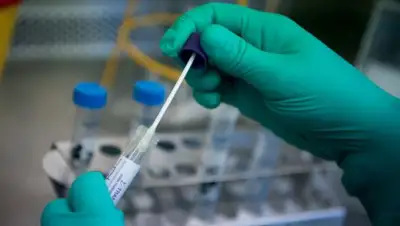 depositphotos, фото - Новости Zakon.kz от 31.08.2020 08:01