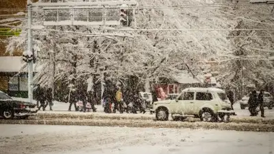 Zakon.kz, фото - Новости Zakon.kz от 22.11.2016 17:20