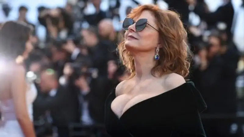 Сьюзан Сарандон арестована