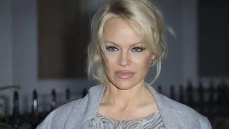 Памела Андерсон попросила Макрона предоставить убежище «сексуальному Ассанжу»