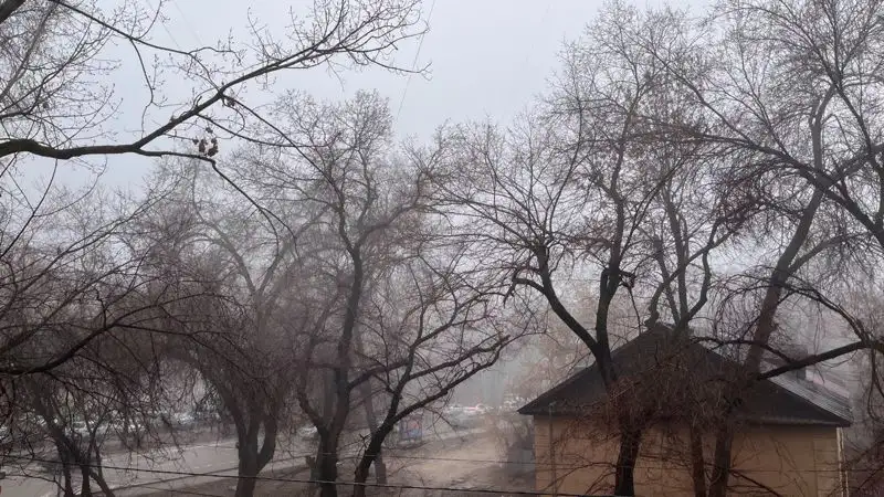 Туман накрыл Алматы, фото - Новости Zakon.kz от 09.03.2023 10:10