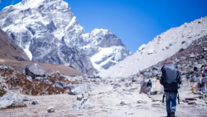 Количество внутренних туристов выросло на 9,6% за год