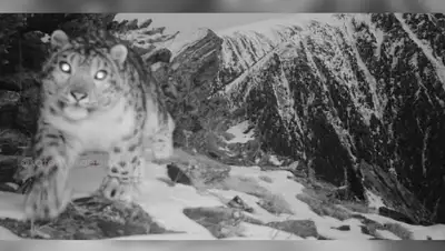 фотоловушка, фото - Новости Zakon.kz от 10.03.2022 15:42