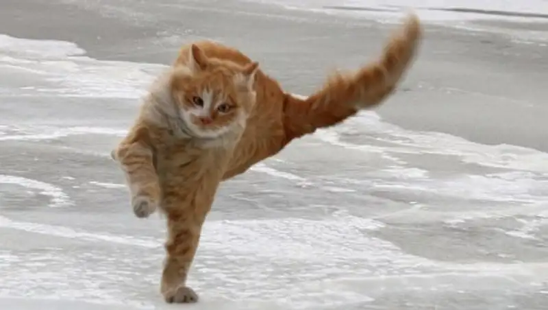 Штормовое предупреждение объявлено в трех областях