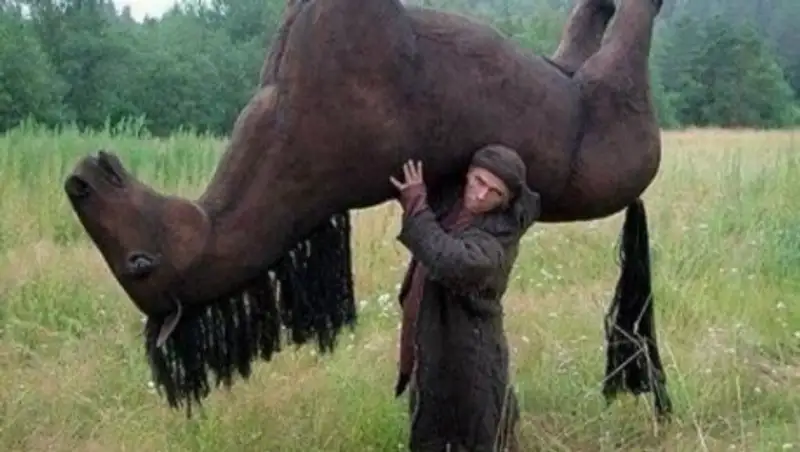 Скотокрад в Алматинской области наворовал на миллион тенге