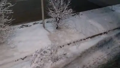 Zakon.kz, фото - Новости Zakon.kz от 13.01.2021 19:09