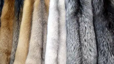 соцсети, фото - Новости Zakon.kz от 15.03.2018 09:29