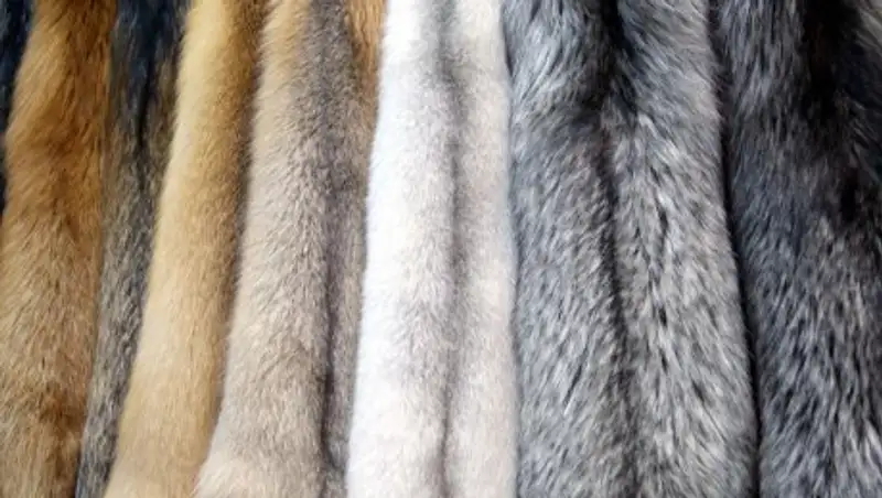 Versace отказалась от использования натурального меха