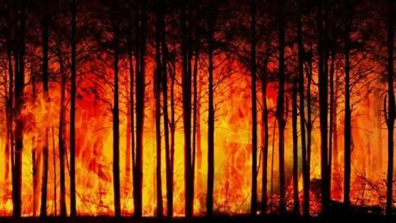 Лесной пожар уничтожил город со 150-летней историей в США