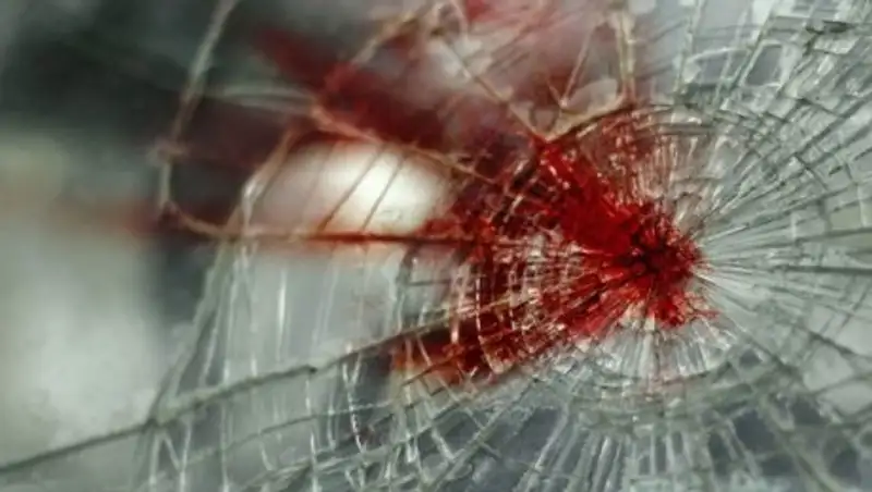 Супружеская пара попала под колеса легковушки в Алматинской области