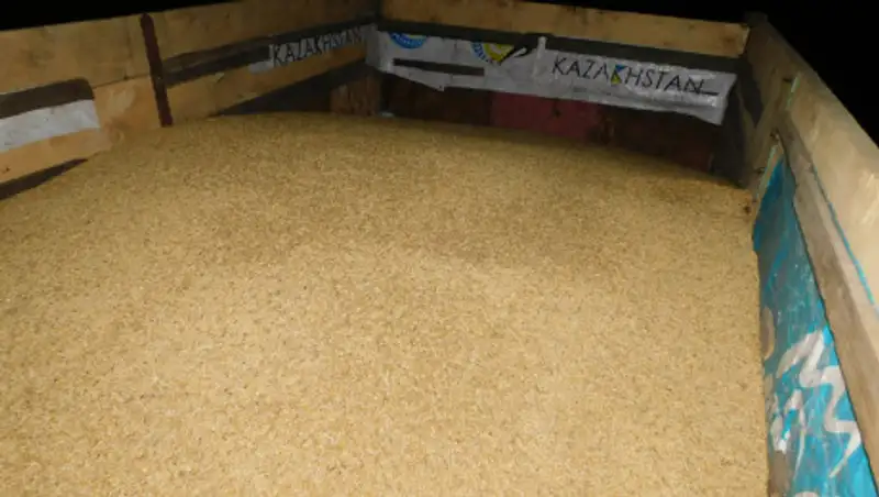 Задержаны двое жителей СКО, укравшие 500 кг пшеницы