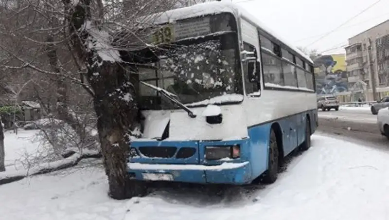 В Алматы автобус врезался в дерево