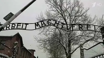 Zakon.kz, фото - Новости Zakon.kz от 27.01.2015 15:12