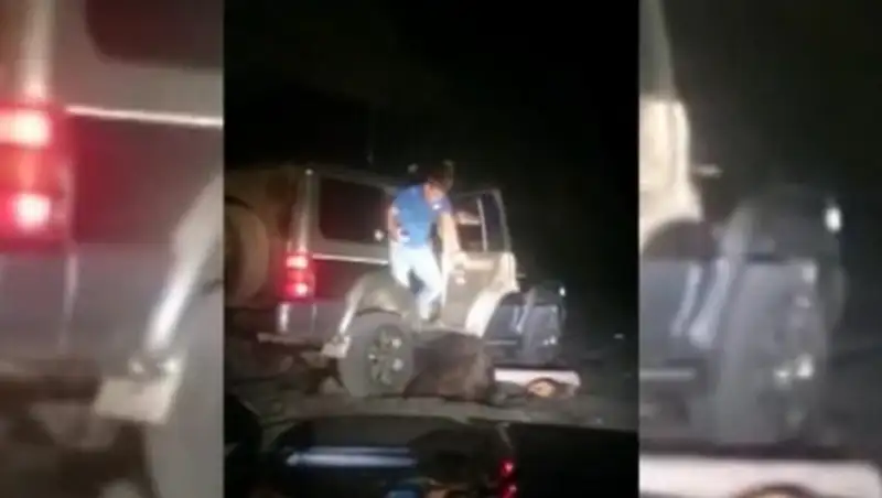 На Сахалине хотят помочь медведю, над которым издевались люди