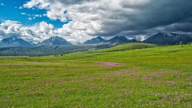 луг, поля, горы, фото - Новости Zakon.kz от 15.04.2022 12:52