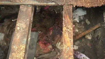 Несовершеннолетняя родила в уличном туалете в Алматы, фото - Новости Zakon.kz от 25.08.2022 14:37