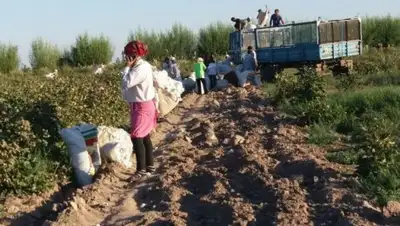 Zakon.kz, фото - Новости Zakon.kz от 25.09.2017 17:30