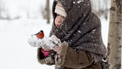 glazovlife.ru, фото - Новости Zakon.kz от 08.12.2018 09:30