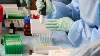 pxhere.com, фото - Новости Zakon.kz от 03.05.2020 18:56