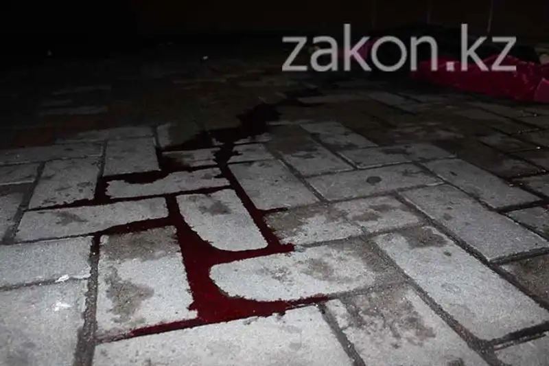 В Алматы молодая женщина погибла, выпав из окна при невыясненных обстоятельствах (фото), фото - Новости Zakon.kz от 11.11.2013 18:09
