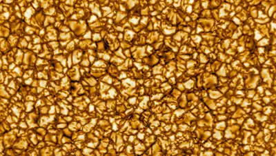 NSO/AURA/NSF, фото - Новости Zakon.kz от 30.01.2020 21:52