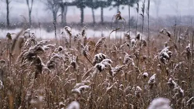 снег, гололед, фото - Новости Zakon.kz от 17.11.2022 18:27