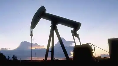 Zakon.kz, фото - Новости Zakon.kz от 14.02.2014 16:12