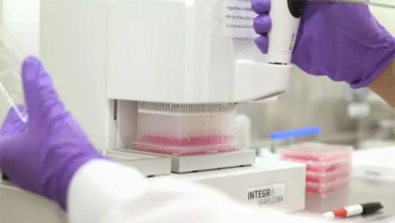 В Испании госпитализирована женщина с симптомами лихорадки Эбола