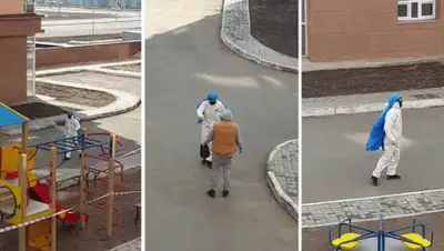 kazakh-tv, фото - Новости Zakon.kz от 25.07.2020 16:17