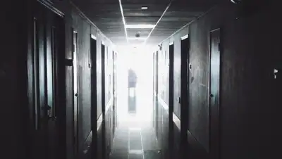 Pixabay, фото - Новости Zakon.kz от 09.02.2020 23:01