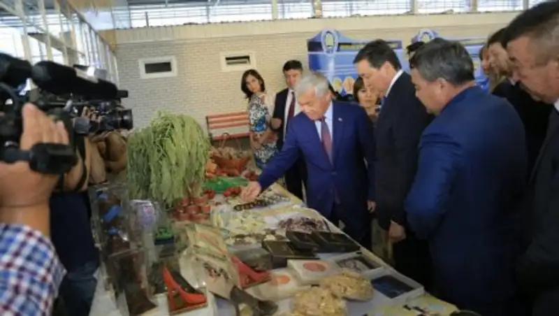 Аскару Мамину презентовали уникальные  социальные объекты в Актобе