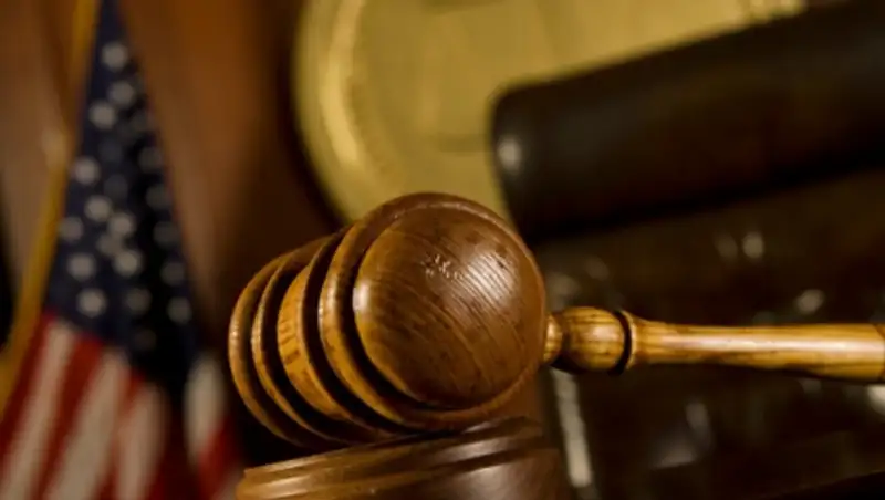 Суд в Нью-Йорке отказал шимпанзе в правах человека