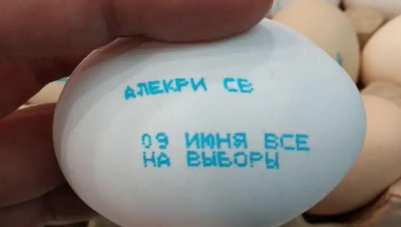 Яйца с призывом на выборы: в компании объяснили такой шаг