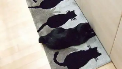 Zakon.kz, фото - Новости Zakon.kz от 17.03.2015 22:19