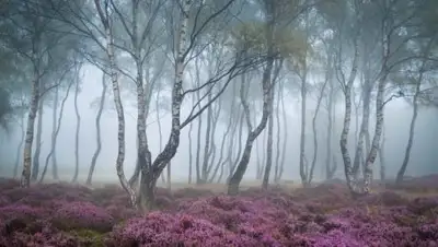 Zakon.kz, фото - Новости Zakon.kz от 16.04.2017 12:00