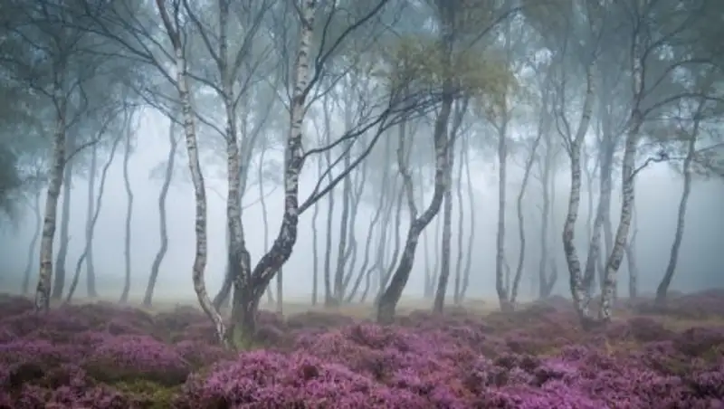 Туман и дожди ожидаются в Казахстане в воскресенье