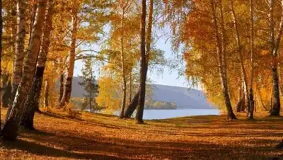 pxhere, фото - Новости Zakon.kz от 19.10.2020 12:13