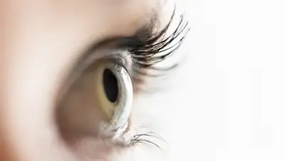 из открытых источников, фото - Новости Zakon.kz от 02.02.2019 14:05