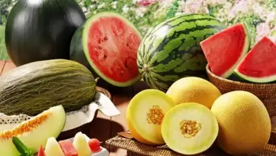 Zakon.kz, фото - Новости Zakon.kz от 14.07.2017 20:20