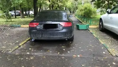 Триникси, фото - Новости Zakon.kz от 20.09.2018 16:38