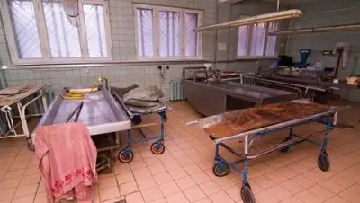 соцсети, фото - Новости Zakon.kz от 25.09.2018 10:28