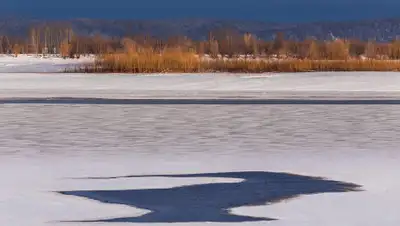 novosti-saratova.ru, фото - Новости Zakon.kz от 20.11.2019 11:26