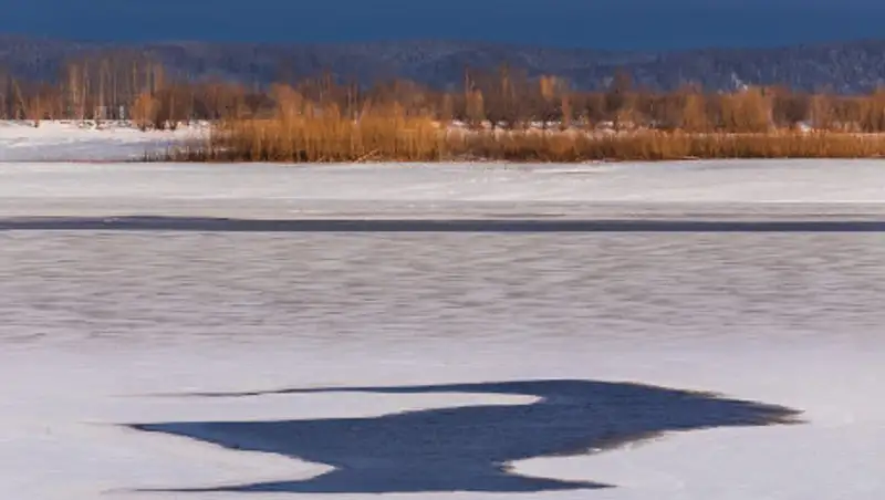 На реке Есиль мужчина провалился под лед