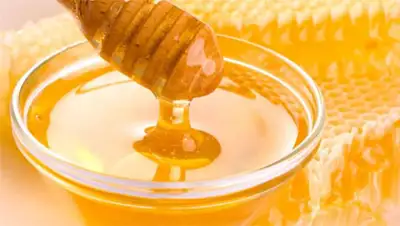 Zakon.kz, фото - Новости Zakon.kz от 10.11.2014 21:14