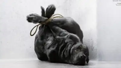 Zakon.kz, фото - Новости Zakon.kz от 07.01.2018 13:13