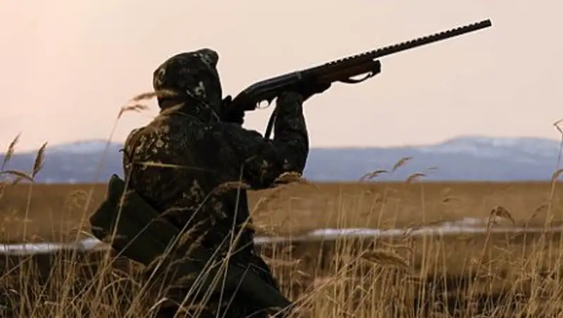 Гражданина ОАЭ за незаконную охоту оштрафовали на 1 млн тенге и депортировали